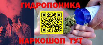 прущие грибы Бузулук