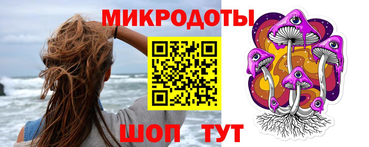 Галлюциногенные грибы Psilocybine cubensis Петрозаводск