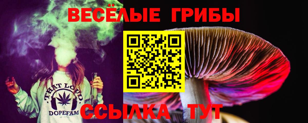 Галлюциногенные грибы Cubensis  Вход с VPN  Псилоцибиновые грибы MAGIC MUSHROOMS  Петрозаводск 